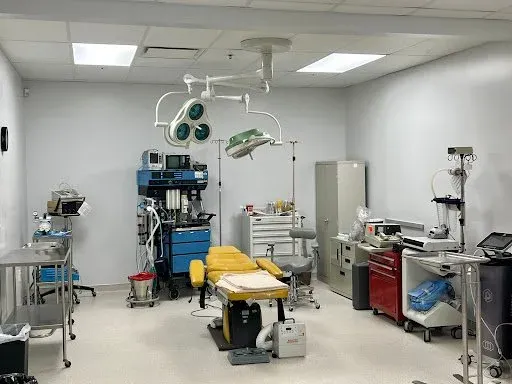 Plasticsurgeons 2 Featured image