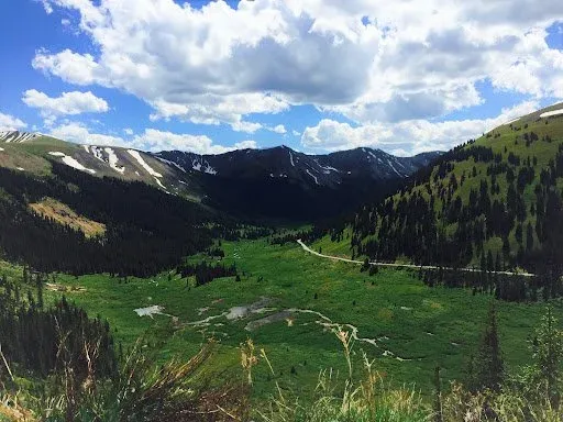 Plasticsurgeons 10 Featured image